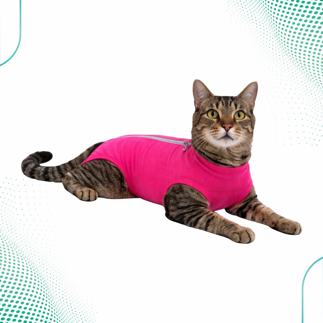 Roupa Pós-Cirúrgica Gato Fêmea – Cotton