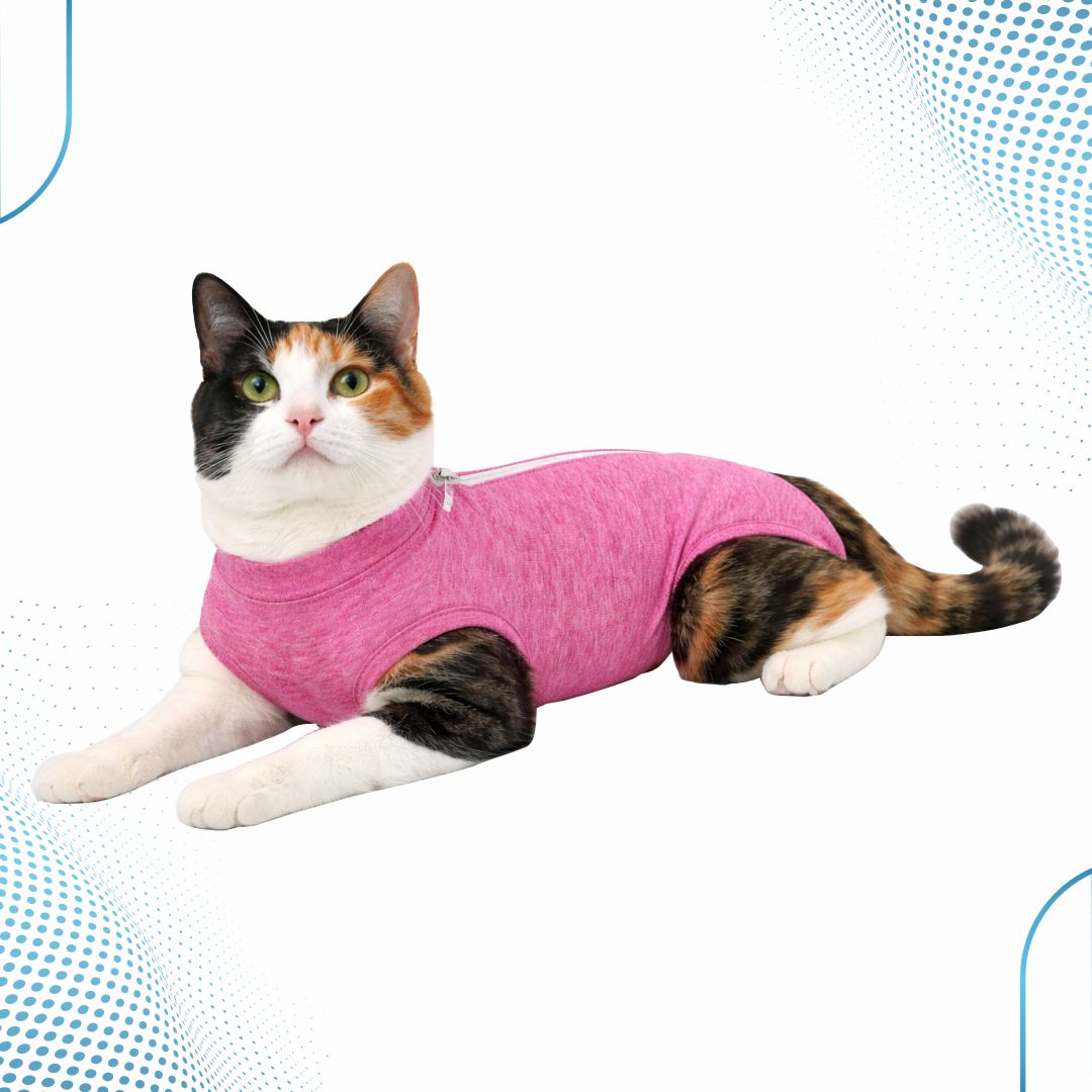 Roupa Pós-Cirúrgica Gato Fêmea – Dry Fit