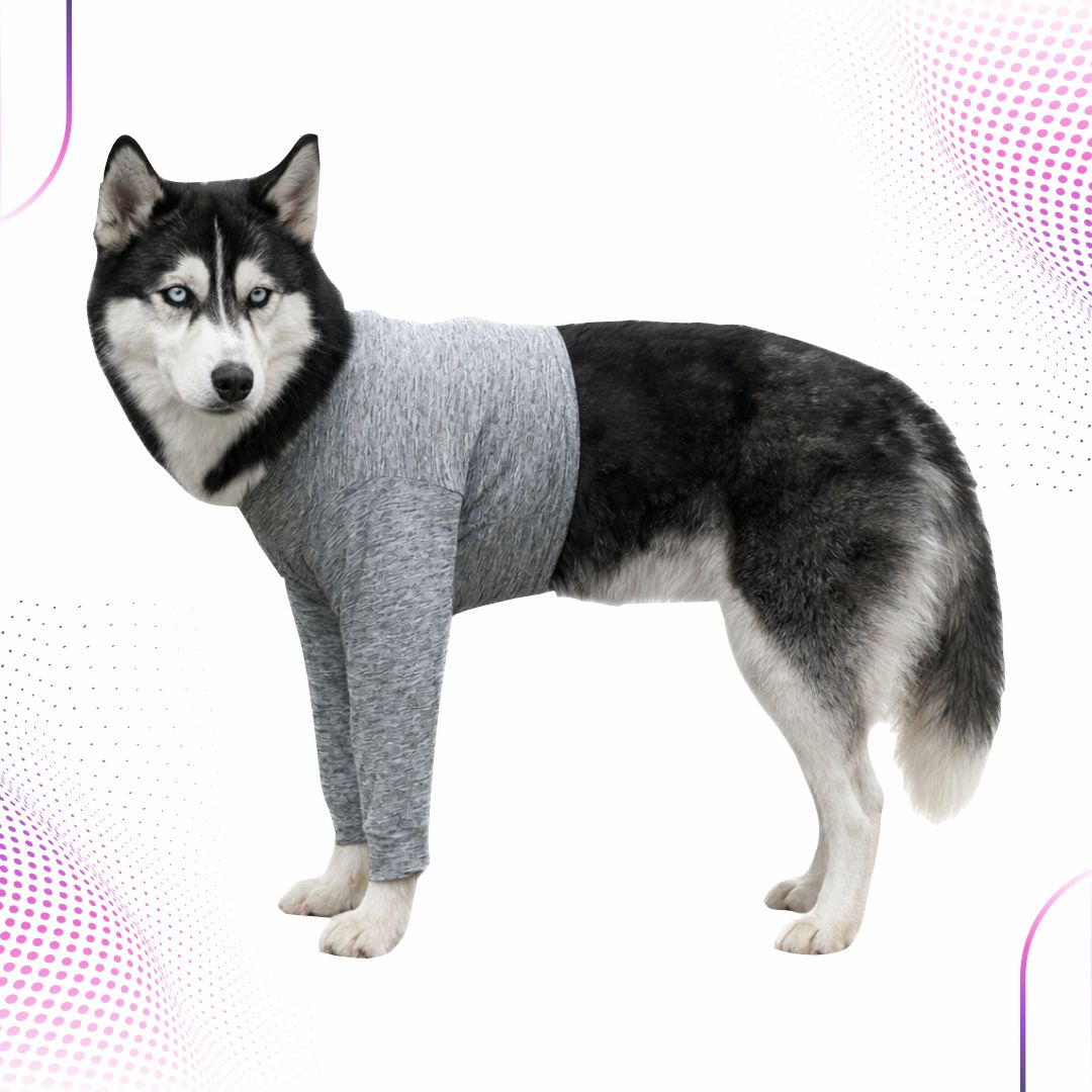 Membros Anteriores para Cães – Dry Fit